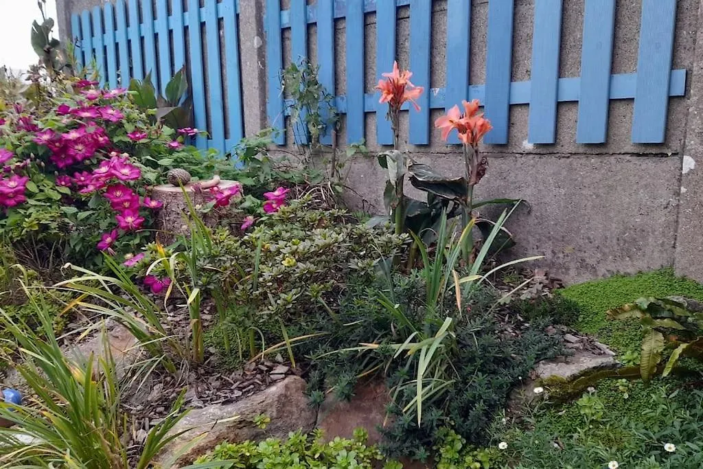 Grande Maison Avec Jardin Vu Sur La Rance Saint-Père Tatil Evi